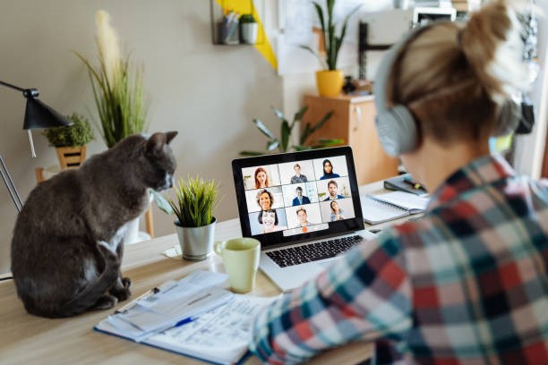 Find the Best Singapore Virtual Office